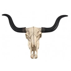 LONGHORN 